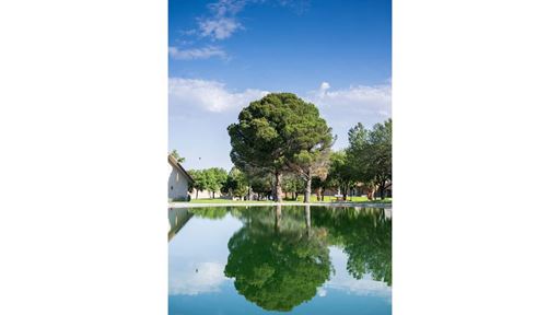 Photo of Alumni Pond after reopening in August 2026