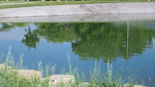 Photo of Alumni Pond after reopening in August 2026