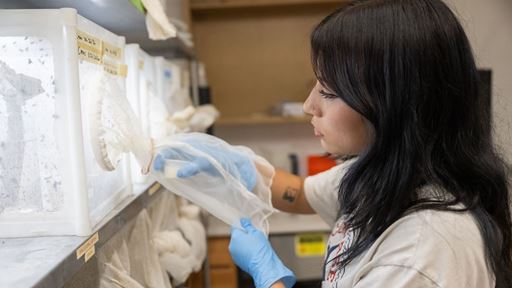 Photo of Alexis Olmos NMSU student pursuing a degree in agricultural biology with a concentration in entomology