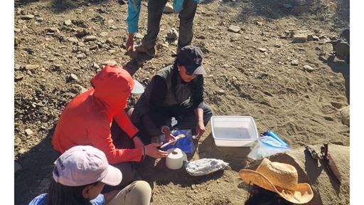 NMSU partnership sparks national push to revive much needed geology field camps