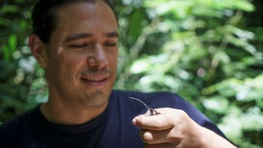 NMSU alum awarded prestigious honor in field biology for innovative research