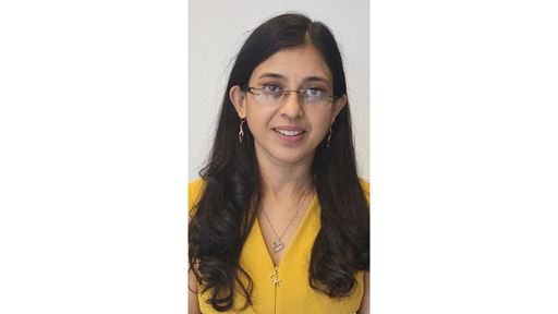 NMSU professors collaborate on 1 2 million NASA grant