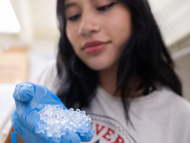 Photo of Alexis Olmos NMSU student pursuing a degree in agricultural biology with a concentration in entomology