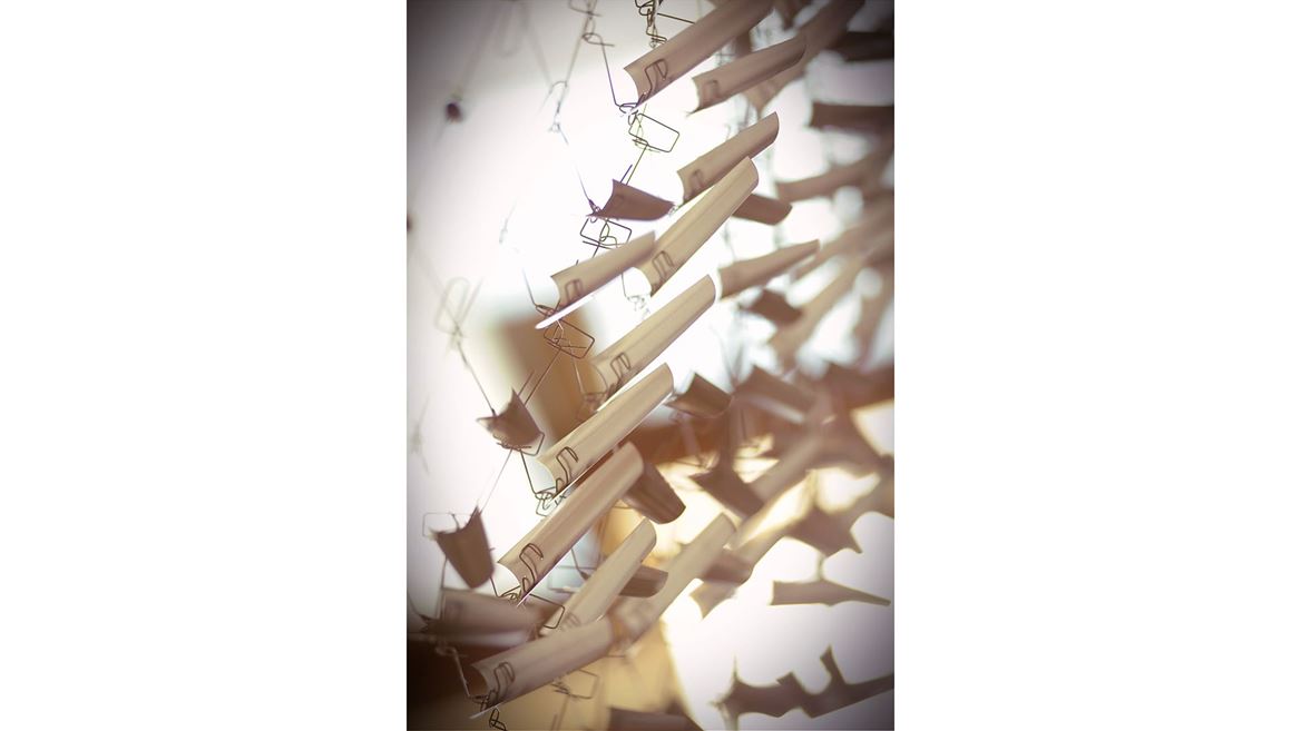 O'Donnell Hall sails