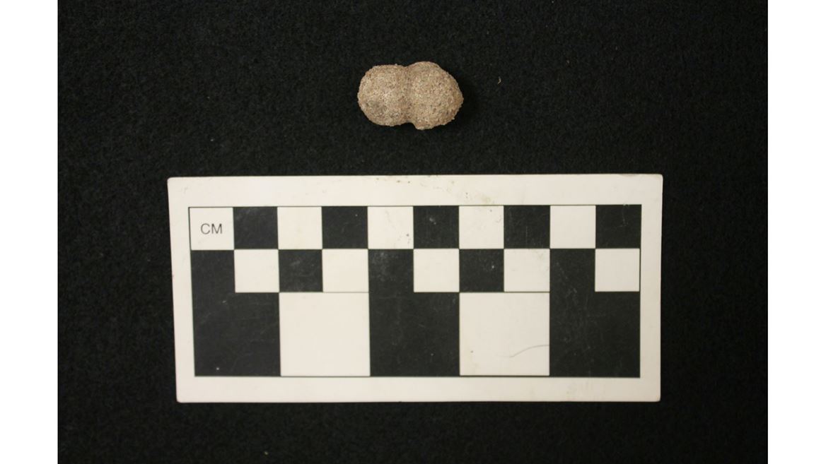 NMSU museum exhibition explores human prehistory in southern New Mexico