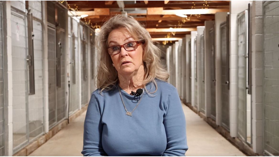 NMSU film grad to screen documentary, fundraise for Animal Rescue League