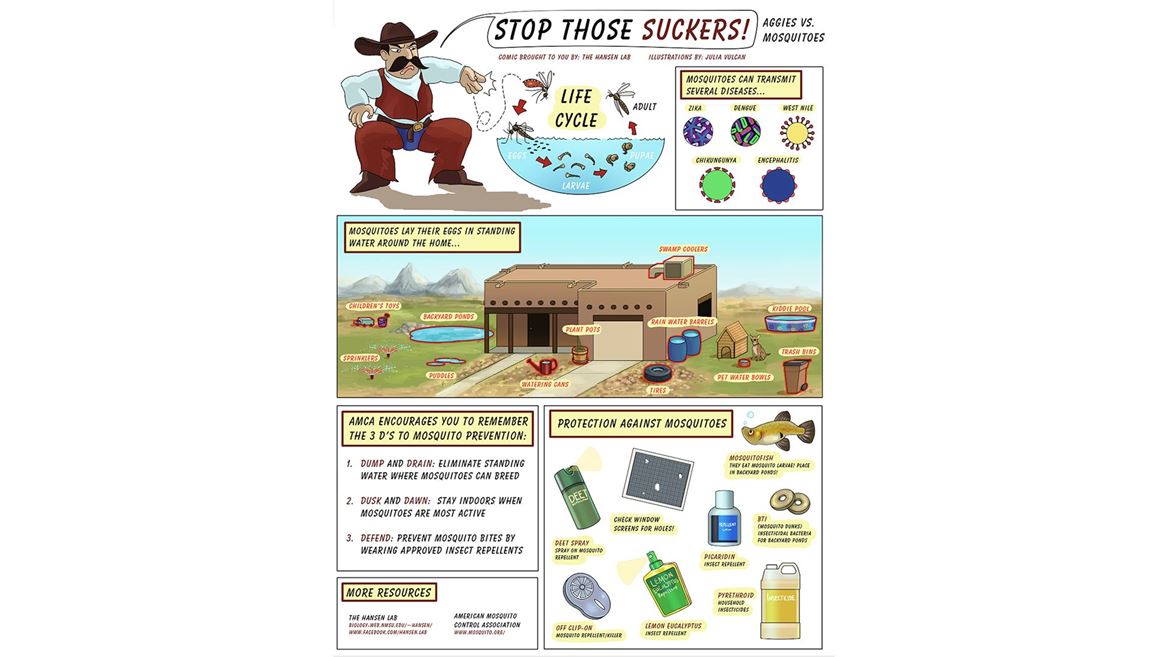 Mosquitoes peak during rainy season, NMSU researcher shares prevention tips