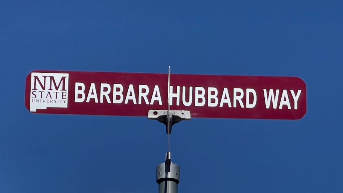 Barbara Hubbard Way street sign