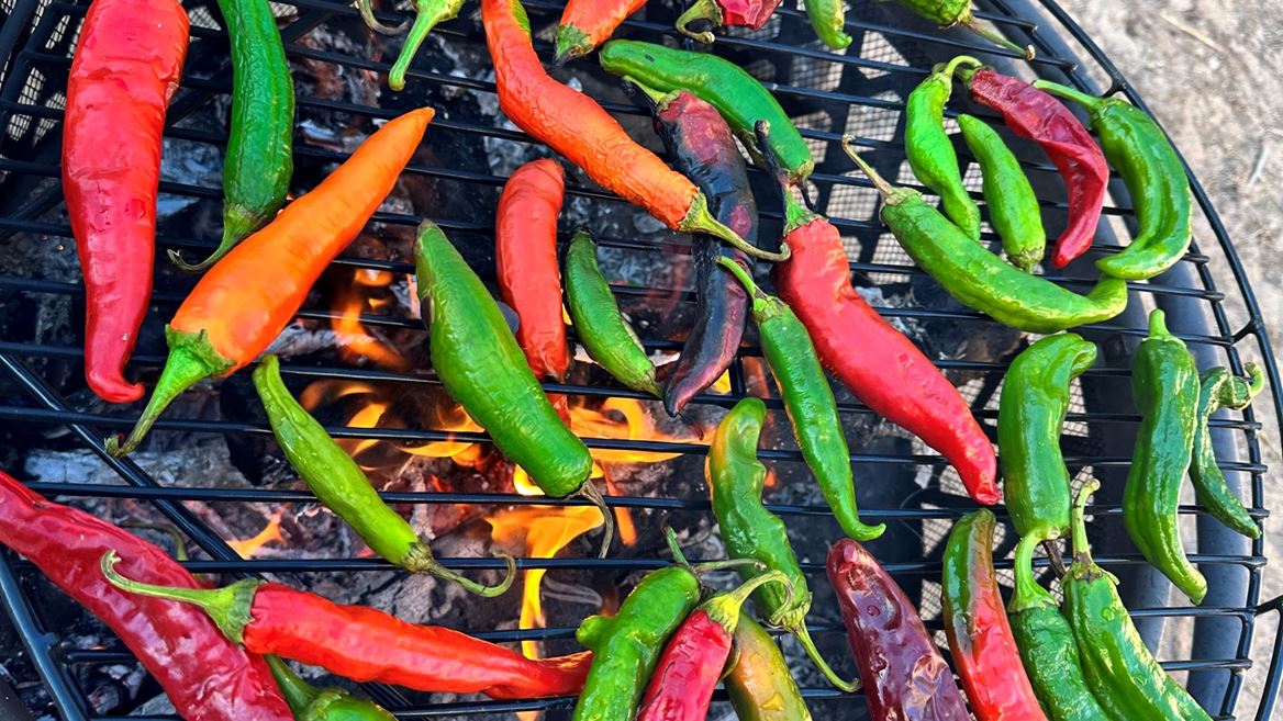 Extensión de NMSU llevará a cabo un taller virtual de conservación de chile verde en todo el estado