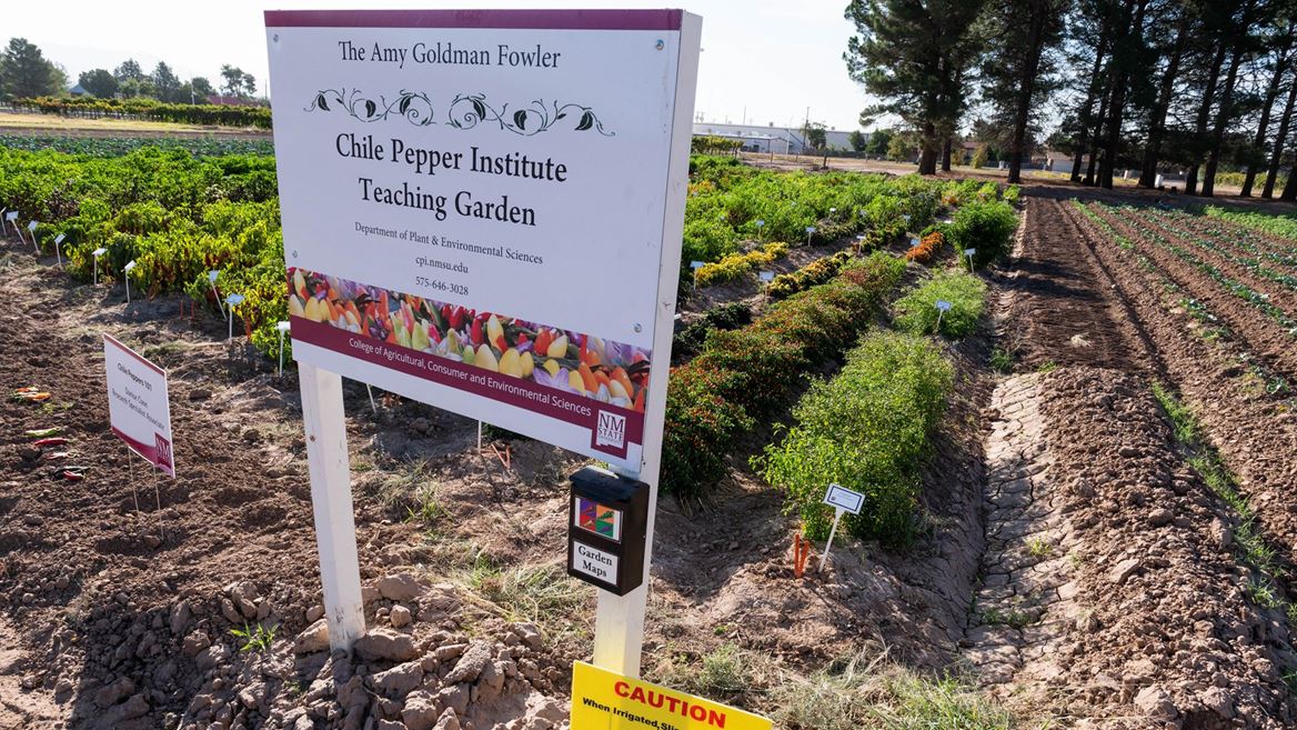 El Instituto Chile Pepper de NMSU se traslada al Centro de Ciencias Fabián García