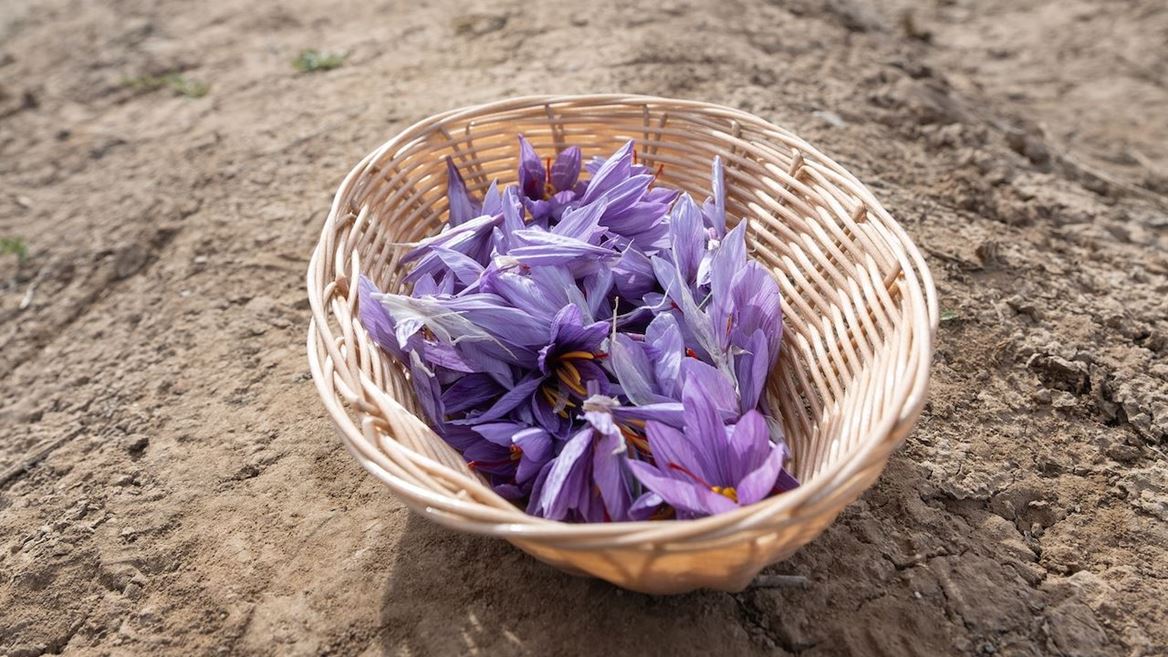 IMAGE DESCRIPTION A basket filled with purple flowers