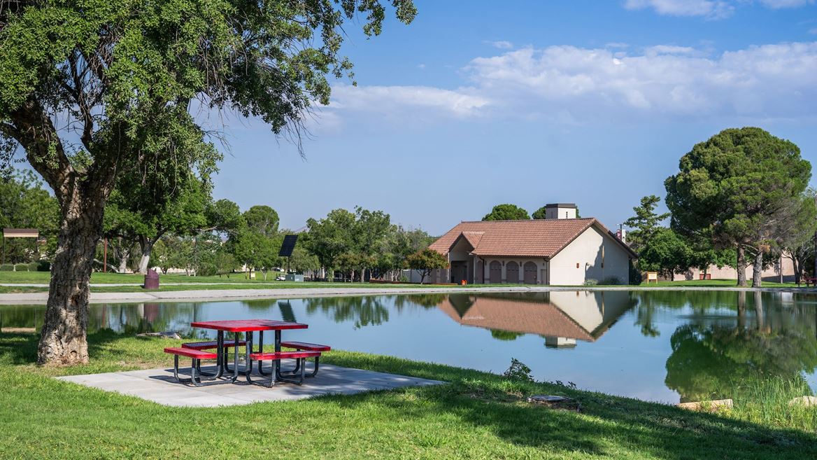 Photo of Alumni Pond after reopening in August 2026