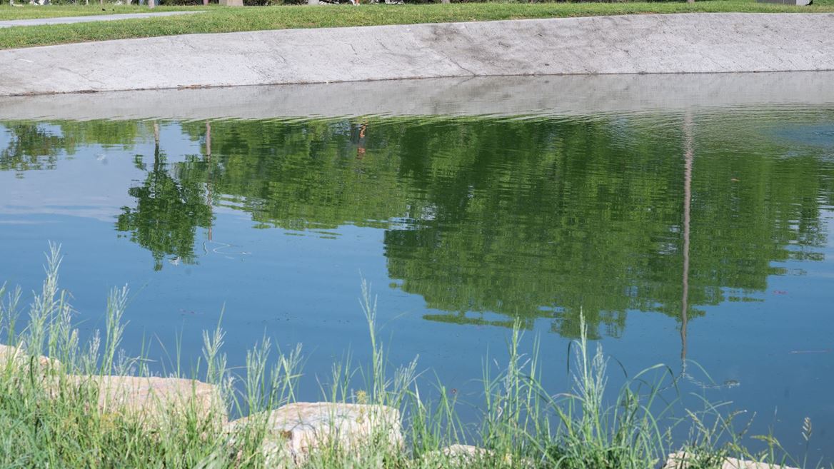 Photo of Alumni Pond after reopening in August 2026