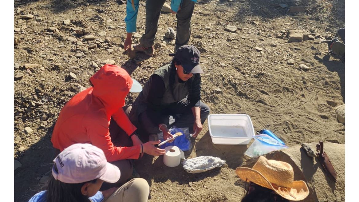 NMSU partnership sparks national push to revive much needed geology field camps