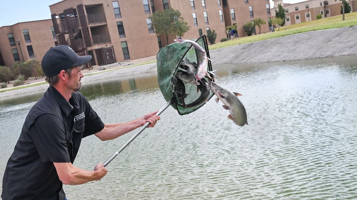 Photo of New Mexico Department of Wildlife personnel stocking channel catfish