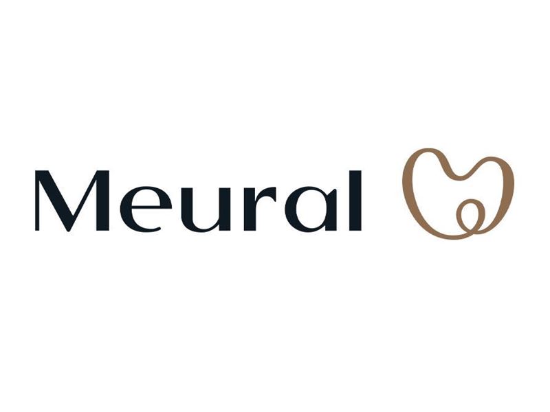 NETGEAR PRESSROOM : Meural Logo