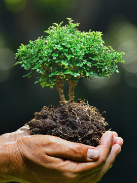 Environment & Energy