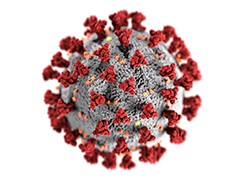 Coronavirus News
