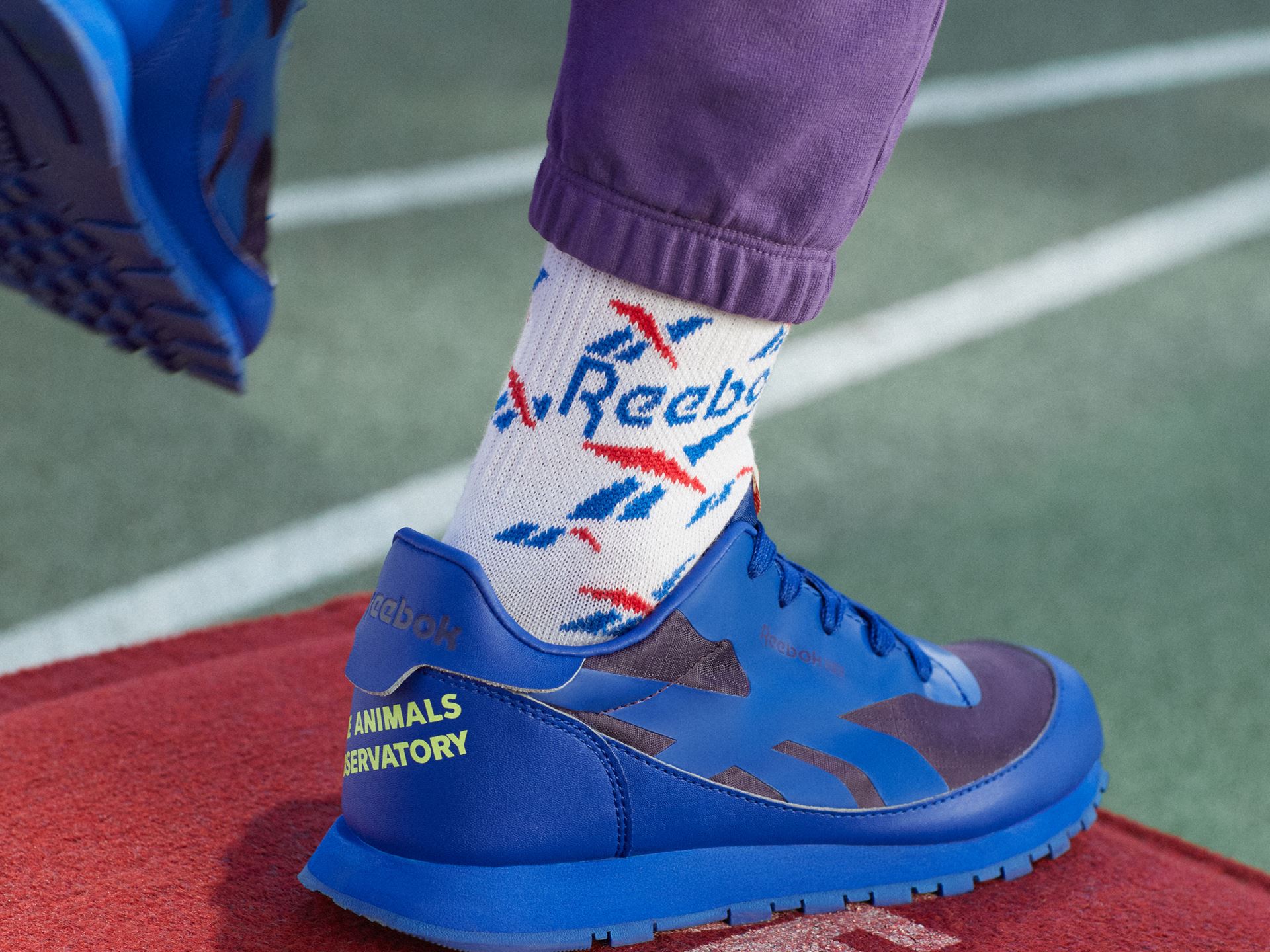 tao reebok