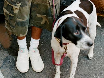 Reebok Classics NYC Photo Library