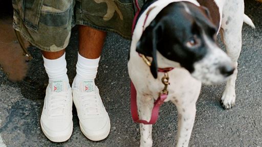 Reebok Classics NYC Photo Library