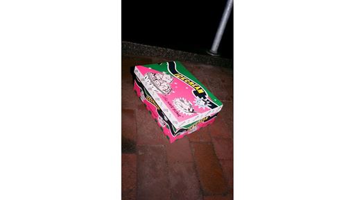 Reebok x Icecream Board Flip Pink Lemonade and Watermelon Colorways