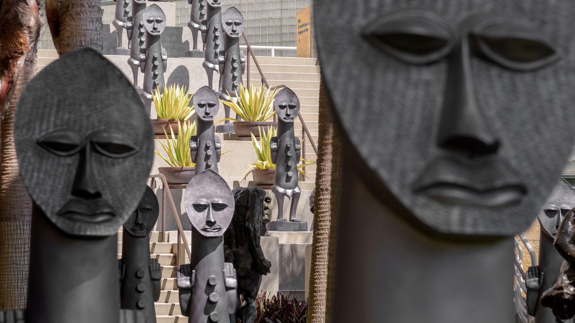 z o t i m m b lacma usa 2019 5