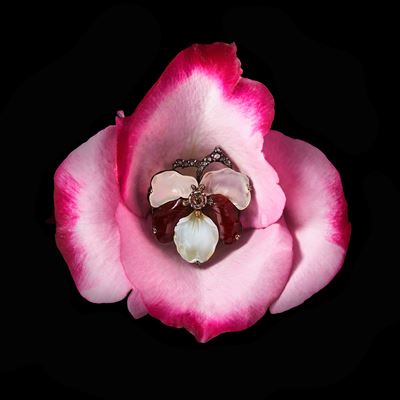 Buccellati ORCHIDEA