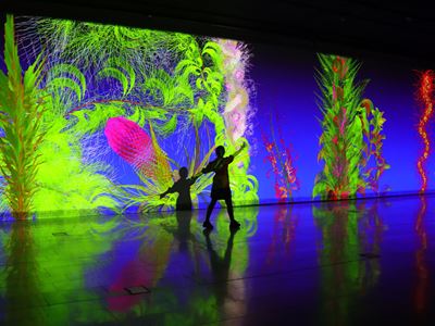 Miguel Chevalier Generative and interactive virtual reality installation Extra Natural 2024 Software Cyrille Henry