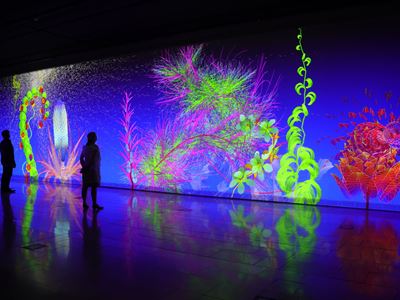 Miguel Chevalier Extra Natural 2024