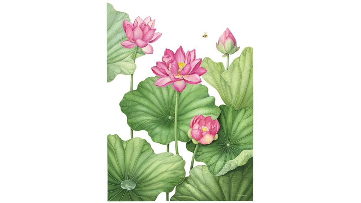 Kyoko Uchiyama Nelumbo Nucifera Early Summer
