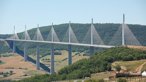 Media Image