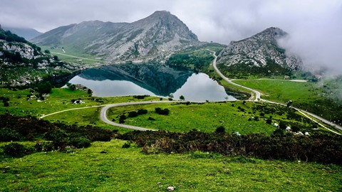 Media Image