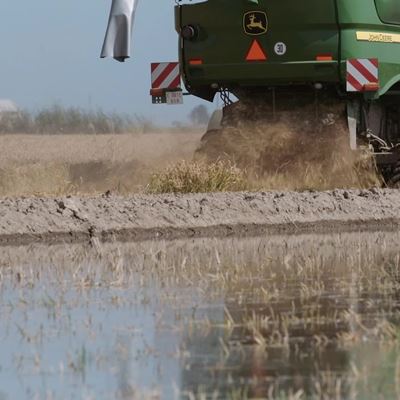 Cars parts made from rice husks? SEAT is already researching it - No Ending