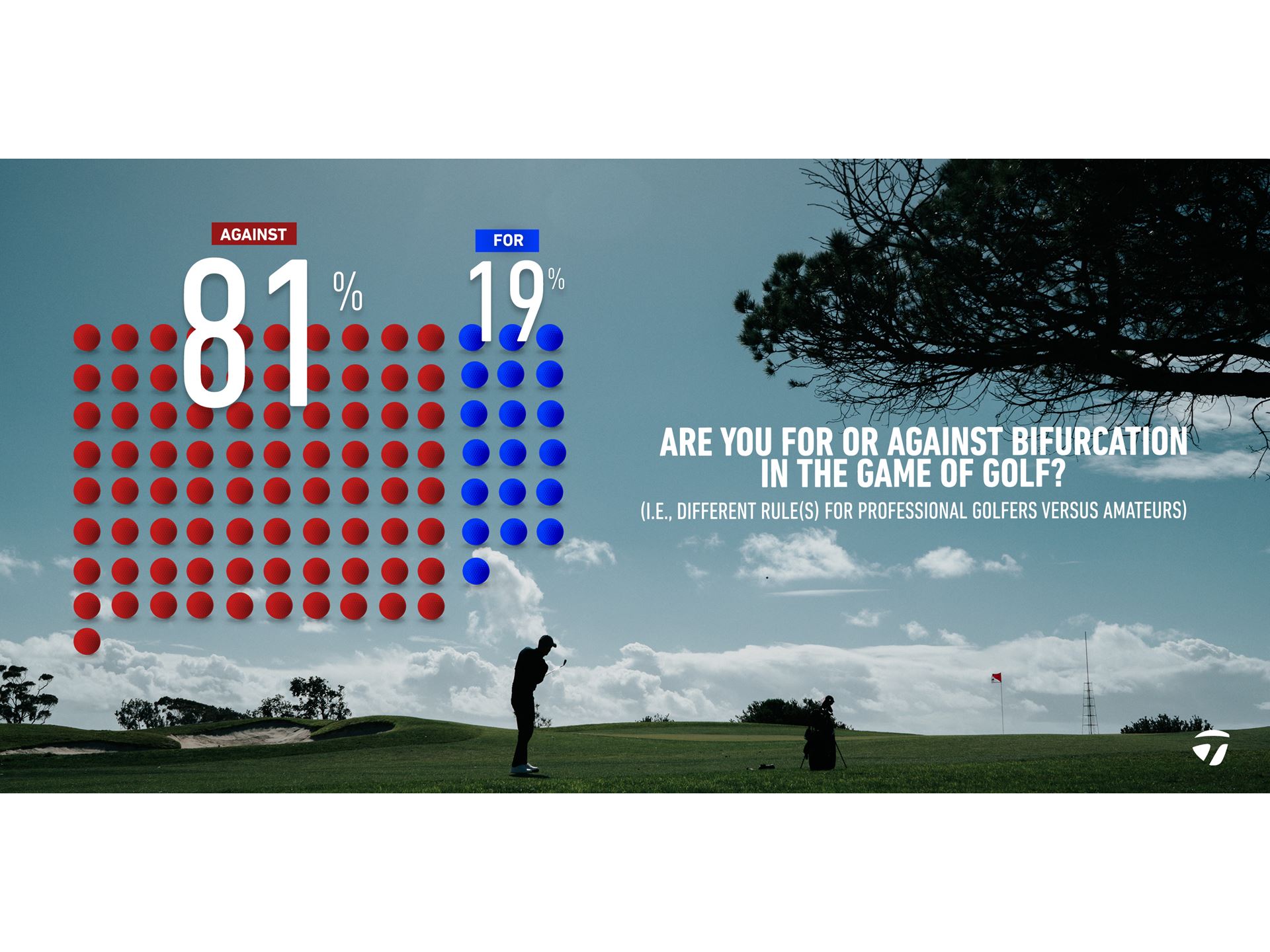 TaylorMade Golf Ball Survey Results Graphic 5