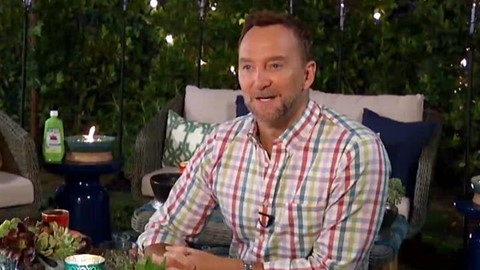 Clinton Kelly Reveals Tips for Creating the Perfect Intimate Outdoor Get Together