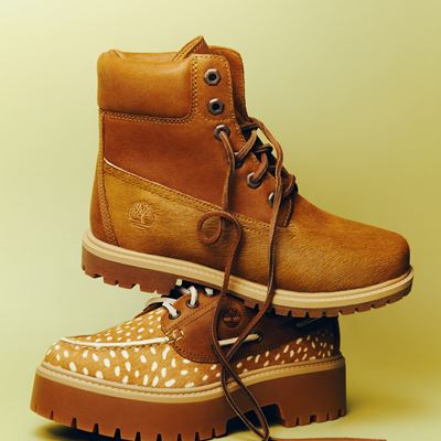 Timberland Limited Edition Collection Birchwood Fawn