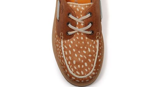 Timberland Limited Edition Collection Birchwood Fawn