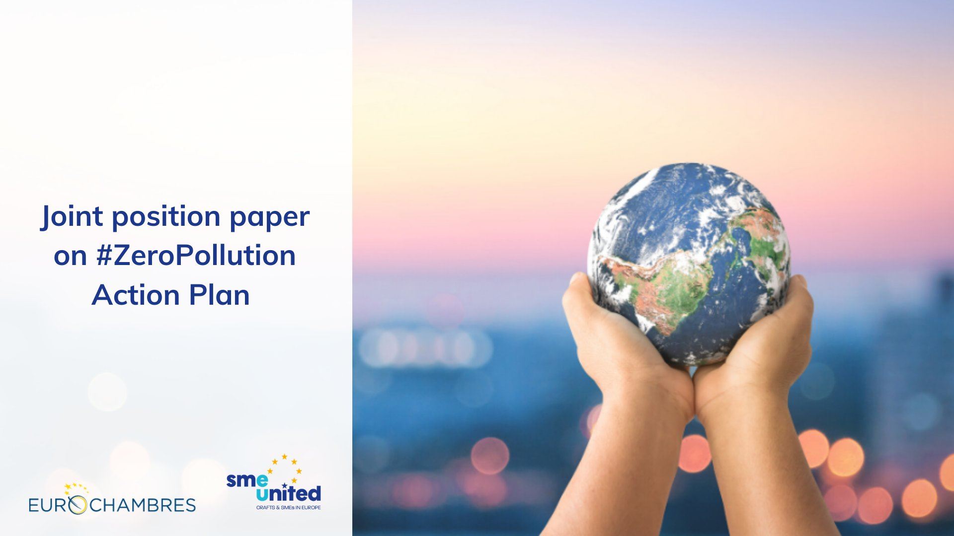 Position Paper - Zero Pollution