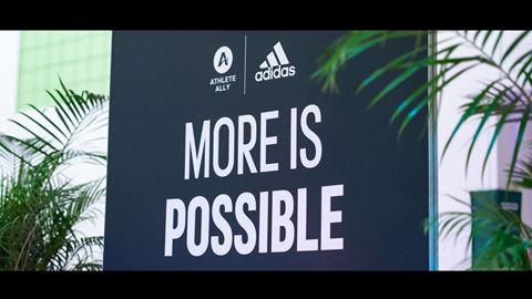 adidas panel image