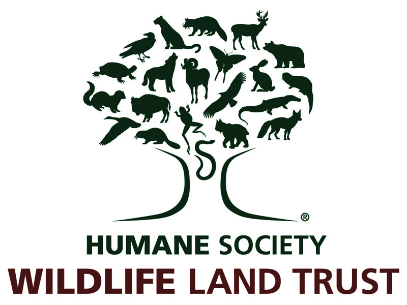 Wildlife Society. Trustland лого. Protect Wildlife. Humane.