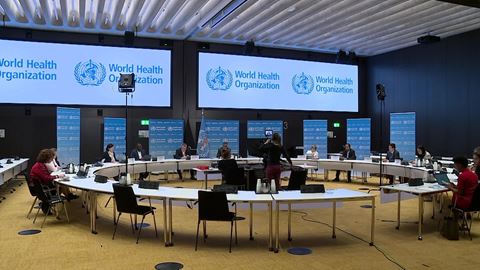 who-broll-emergencies-ukraine---ethiopia-press-conference-13-apr-2022