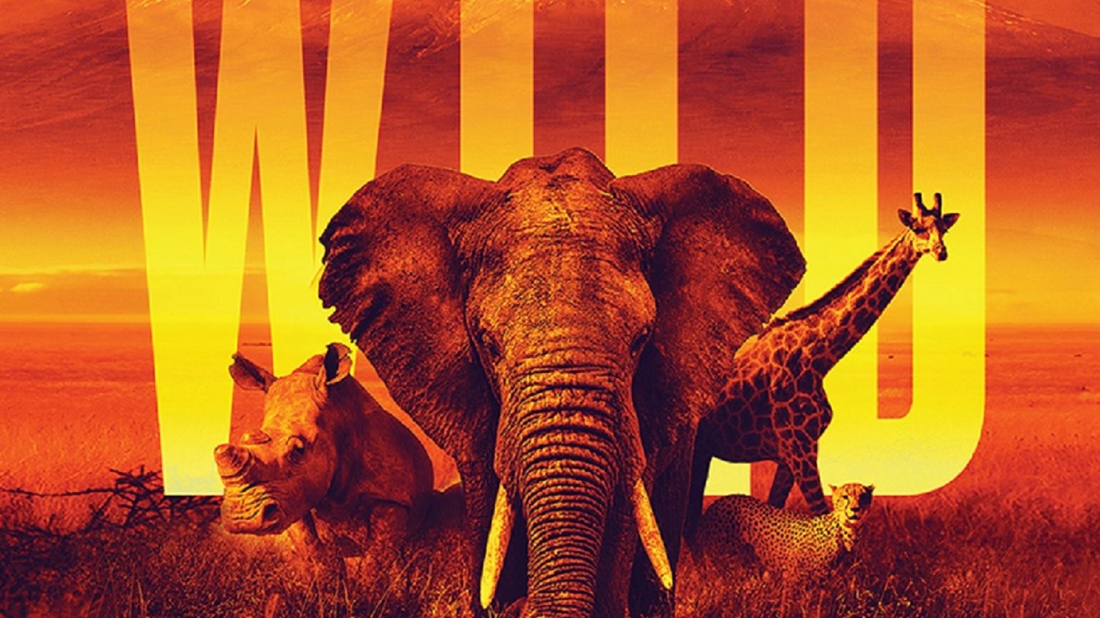 Wynn Palace presents "WILD: An Immersive Safari Experience" at Illuminarium