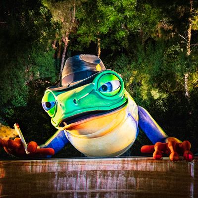 Lake of Dreams - Singing Frog 2
