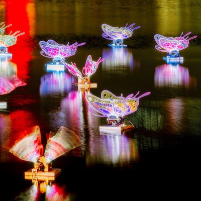 From December 2, 2023 to February 25, 2024, a series of dazzling light installations in the form of fluttering butterfli