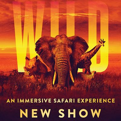 Wynn Palace presents "WILD: An Immersive Safari Experience" at Illuminarium
