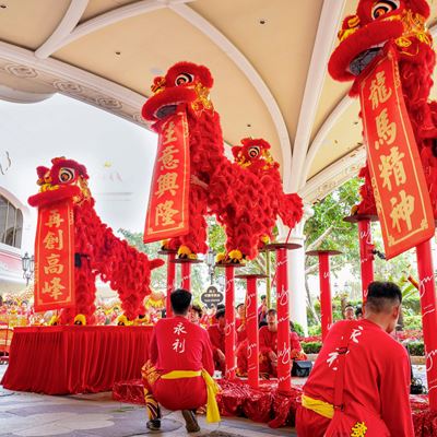 醒獅隊伍隨著鑼鼓節奏躍動起舞，場面非常熱鬧