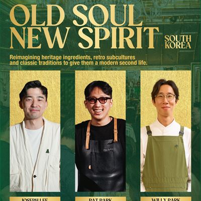 Old Soul New Spirit Two Nights Six Second Lives