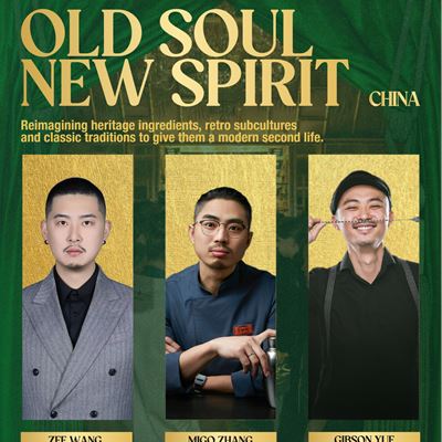 Old Soul New Spirit Two Nights Six Second Lives