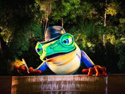 Lake of Dreams - Singing Frog 2